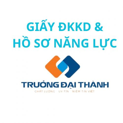 Hồ Sơ Năng Lực - Trưởng Đại Thành